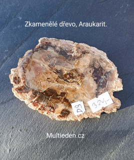 Zkamenělé dřevo, plát. D:3