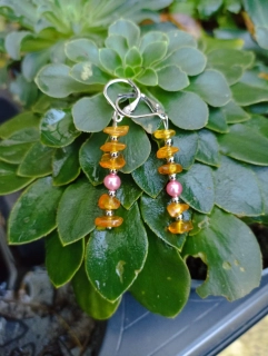 Jantar náušnice a Říční Perla 